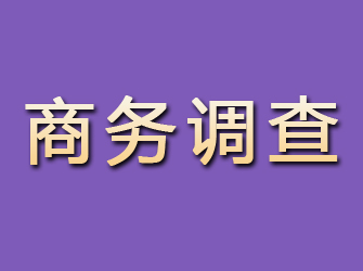 通江商务调查